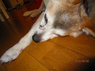 日常 1188.jpg