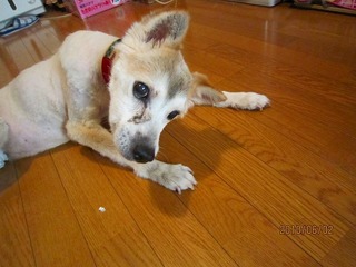 日常 1191.jpg