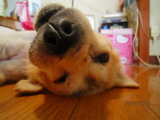日常 1193.jpg