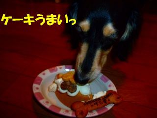 日常 1214.jpg
