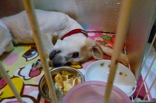 日常 1218.jpg