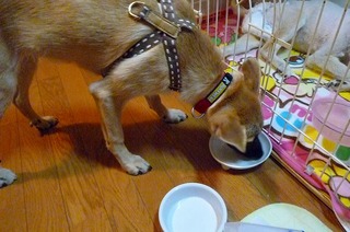 日常 1222.jpg
