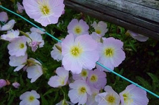 日常 1223.jpg