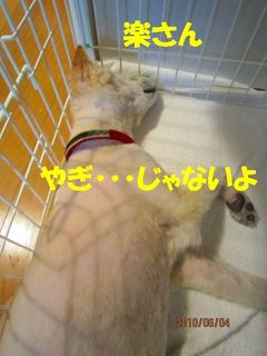 日常 1225.jpg