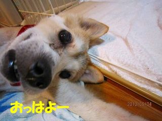日常 1230.jpg