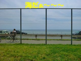 日常 1237.jpg