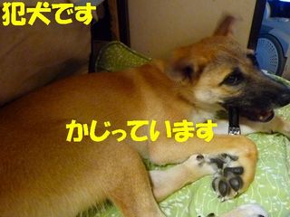 日常 1275.jpg