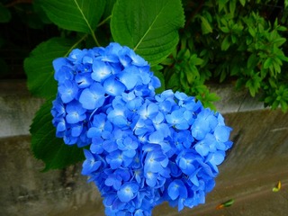 日常 1278.jpg