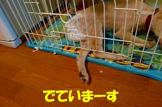 日常 1282.jpg