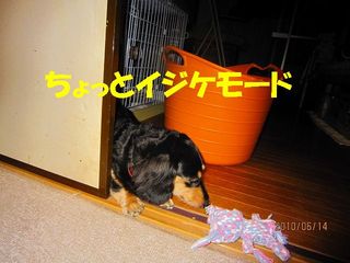日常 1314.jpg