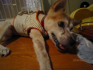 日常 1321.jpg