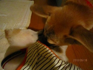 日常 1348.jpg