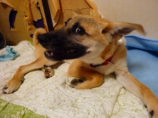 日常 1355.jpg