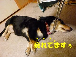日常 1357.jpg