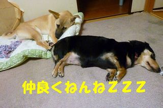 日常 1359.jpg
