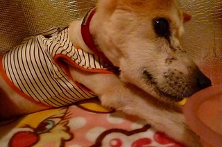 日常 1380.jpg