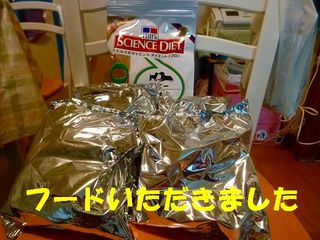 日常 1382.jpg