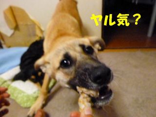 日常 1394.jpg