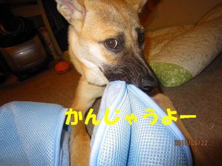 日常 1398.jpg