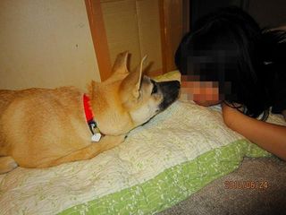 日常 1401.jpg