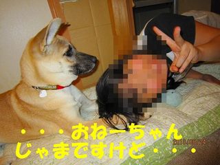 日常 1403.jpg