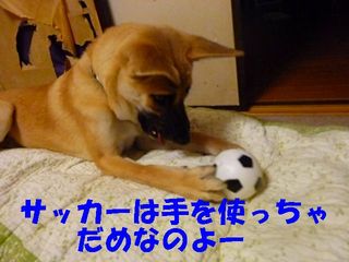 日常 1454.jpg