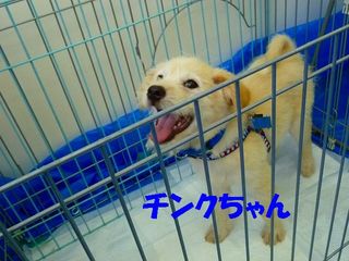 日常 1491.jpg