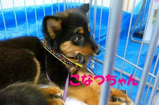 日常 1498.jpg