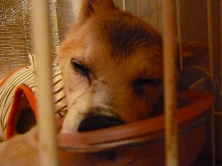 日常 1522.jpg