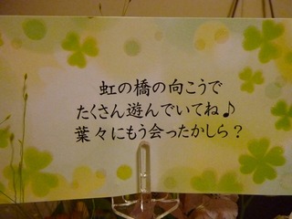 日常 1533.jpg