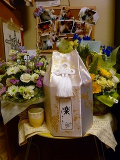 日常 1551.jpg