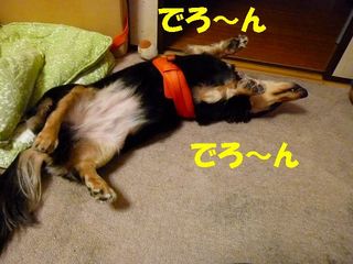 日常 1592.jpg