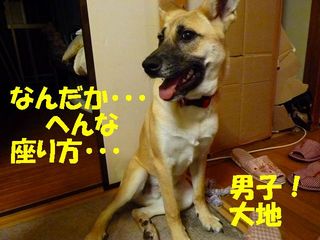日常 1600.jpg