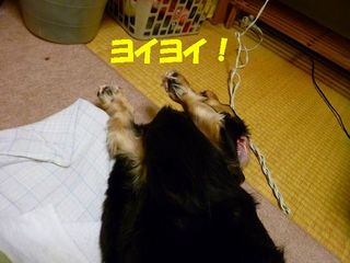 日常 1602.jpg