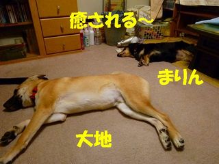 日常 1603.jpg