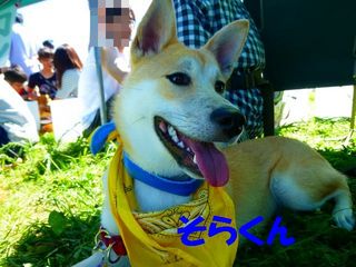 日常 1609.jpg
