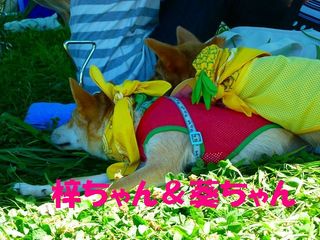 日常 1610.jpg