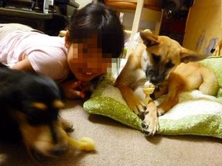 日常 1613.jpg