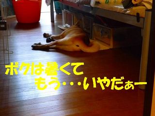 日常 1614.jpg