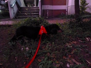 日常 1619.jpg