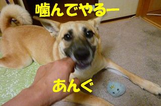 日常 1622.jpg