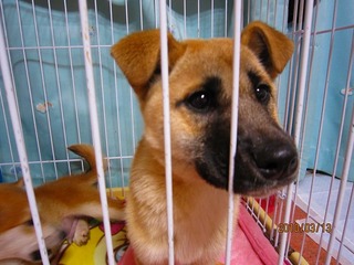 日常 1627.jpg