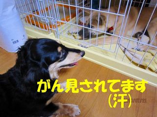 日常 1631.jpg
