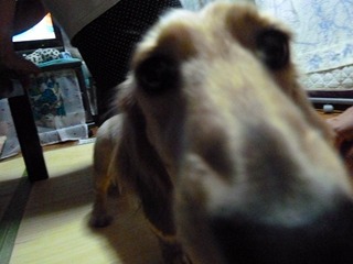 日常 1652.jpg