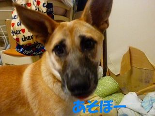 日常 1653.jpg