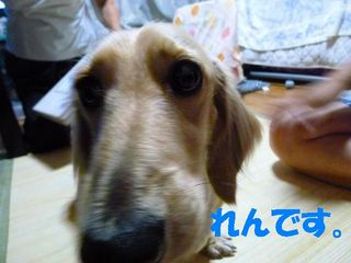 日常 1657.jpg