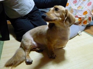 日常 1661.jpg