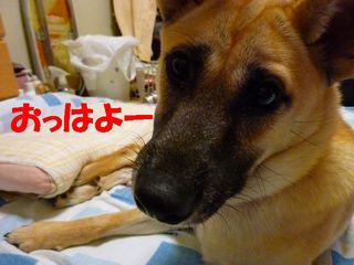 日常 1663.jpg