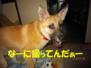 日常 1668.jpg