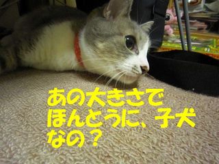 日常 1682.jpg